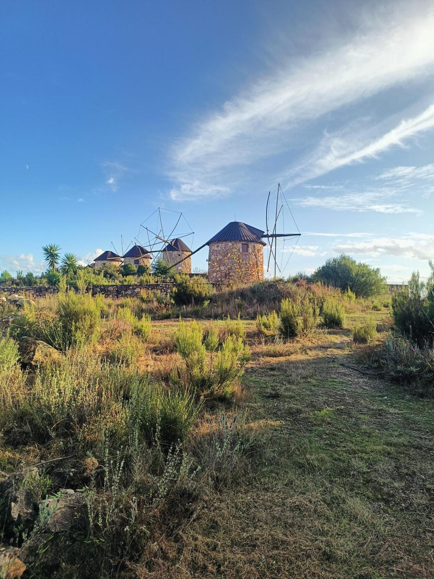 Moinho Da Alfazema Villa Penacova Eksteriør billede